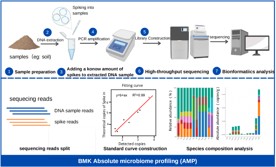 百邁客微生物絕對(duì)定量技術(shù)路線(xiàn) 百邁客微生物絕對(duì)定量技術(shù)路線(xiàn)
